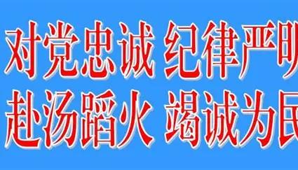 七大综合执法队伍里，为啥应急执法风险稳居第一？
市场监管、城管、文旅各执法队伍各