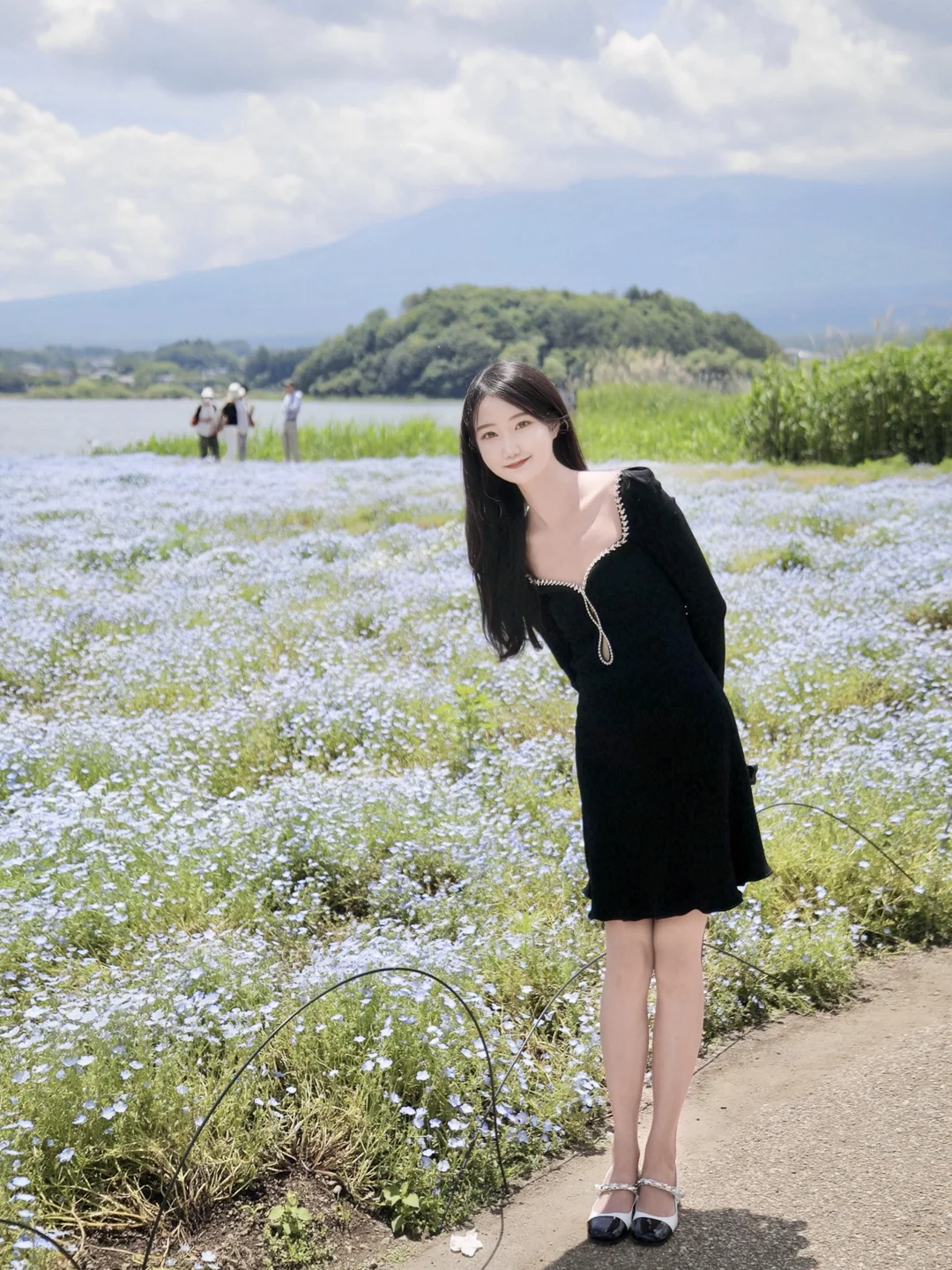 富士山下的大石公园💐