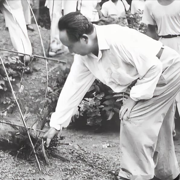 这是1959年毛主席返回韶山祭祖的真实影像。
时隔多年再次回到故乡，他来到父母坟