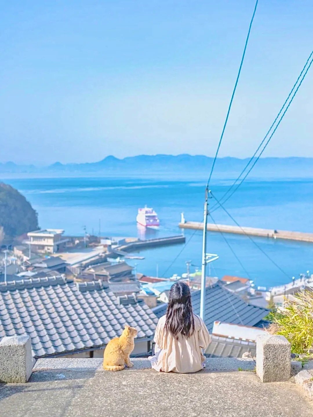 日本旅行🐈超级治愈的猫岛！仿佛穿越进日剧