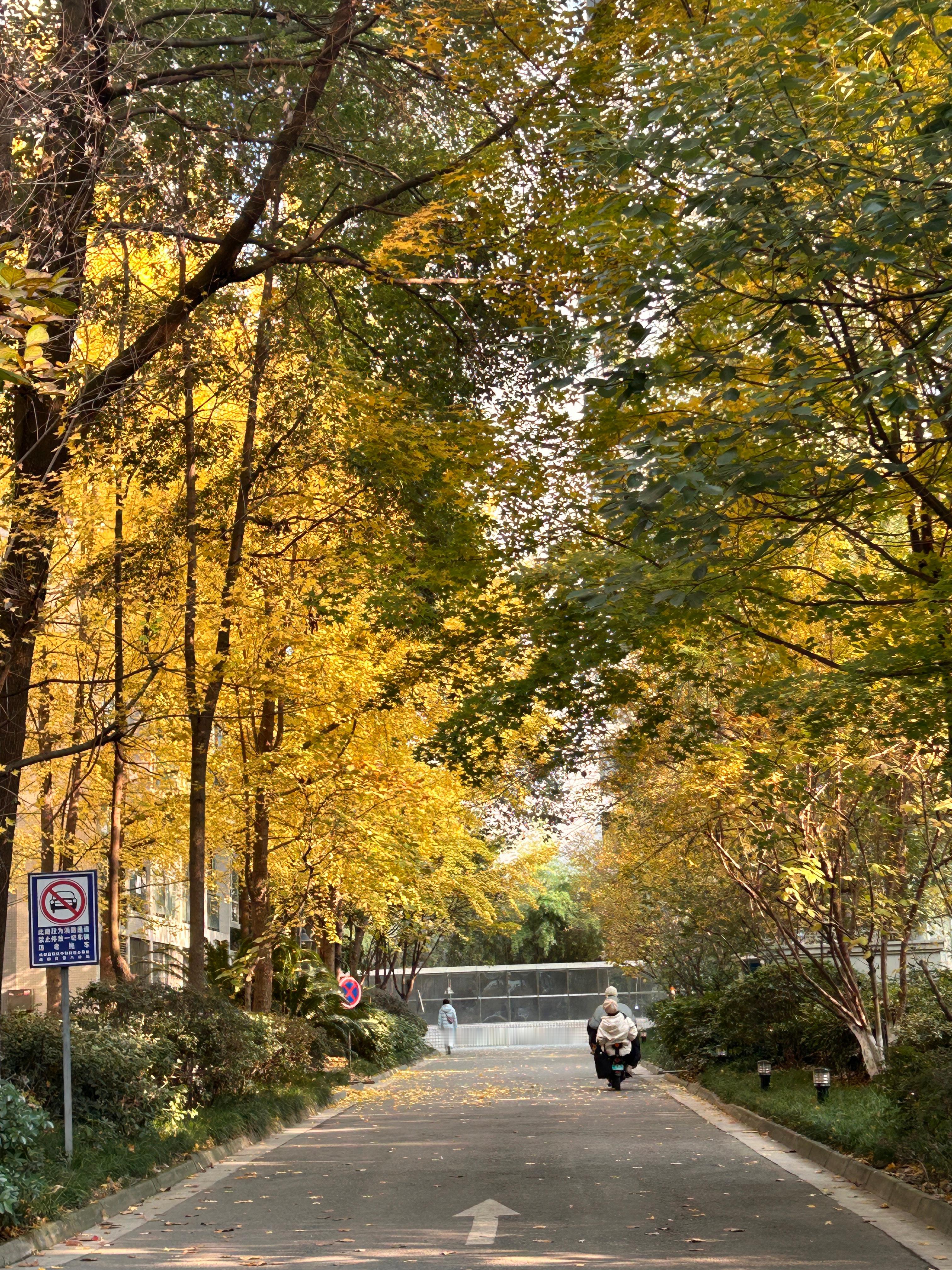 学做一个小小生活家🍂✨ 
