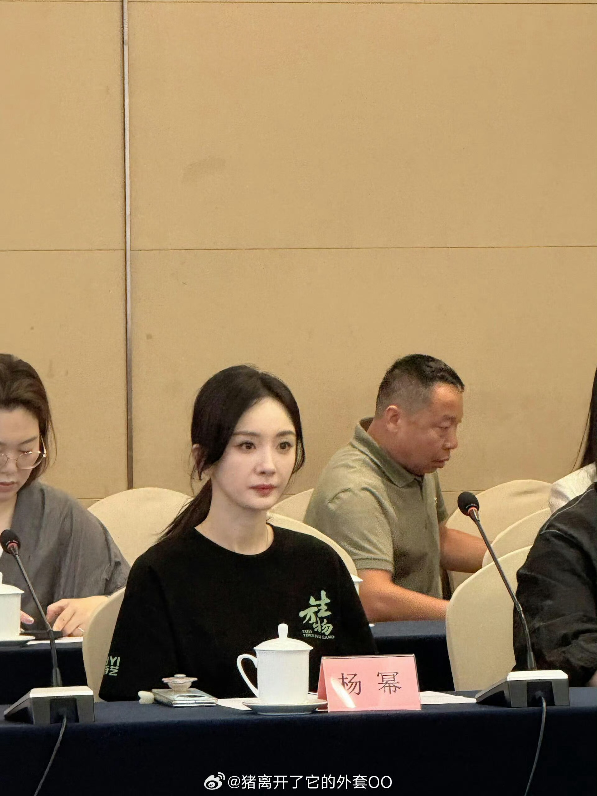 杨幂生万物研讨会现场杨幂生万物出席活动现场生图杨幂生万物研讨会现场，生图太美了 