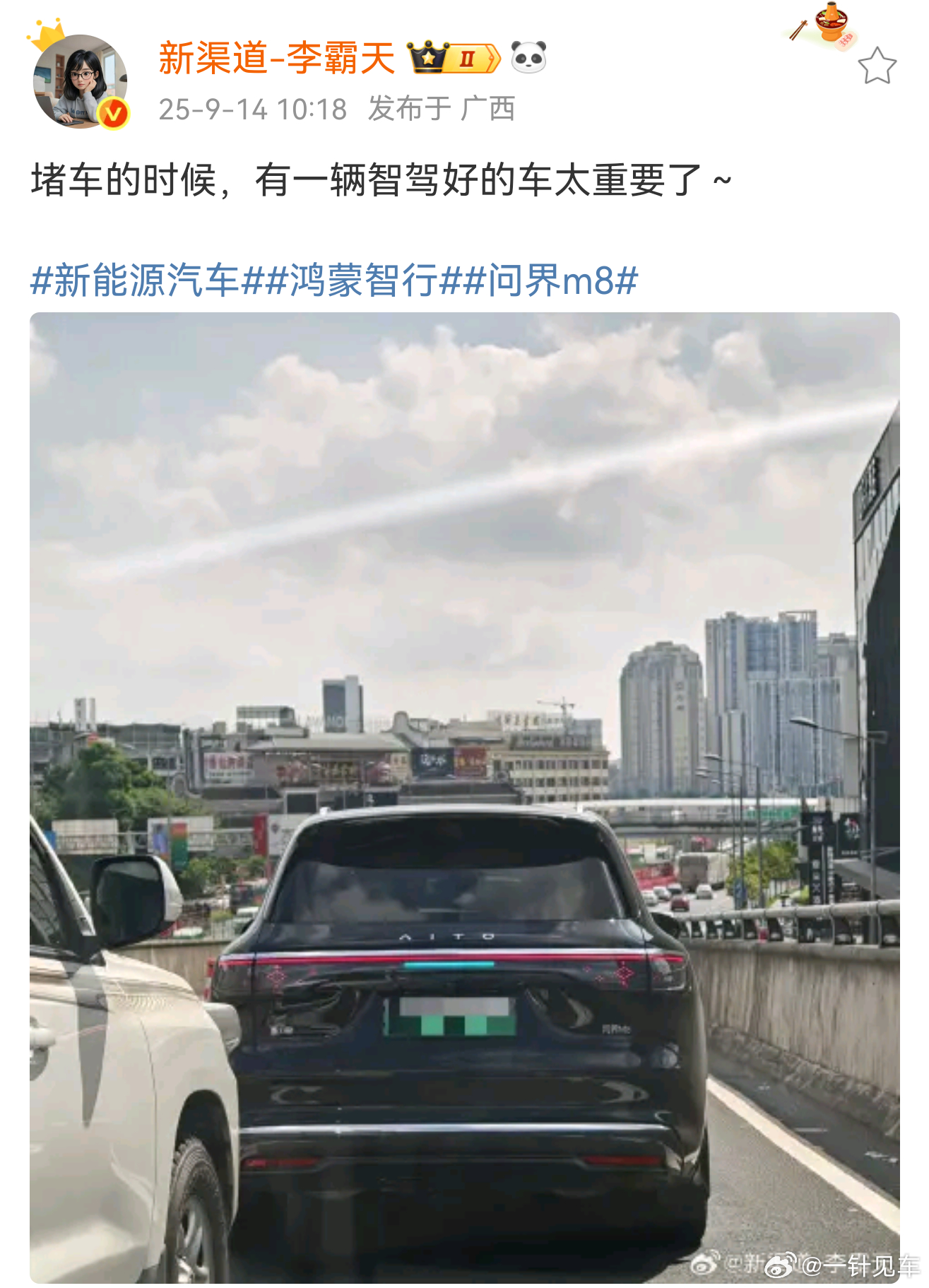 我觉得堵车场景是适合入门，让没用过的先感受一下。用得多了，一个好的智驾在各种场景