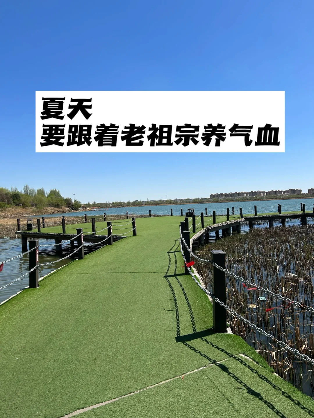 夏天，要跟着老祖宗养气血.