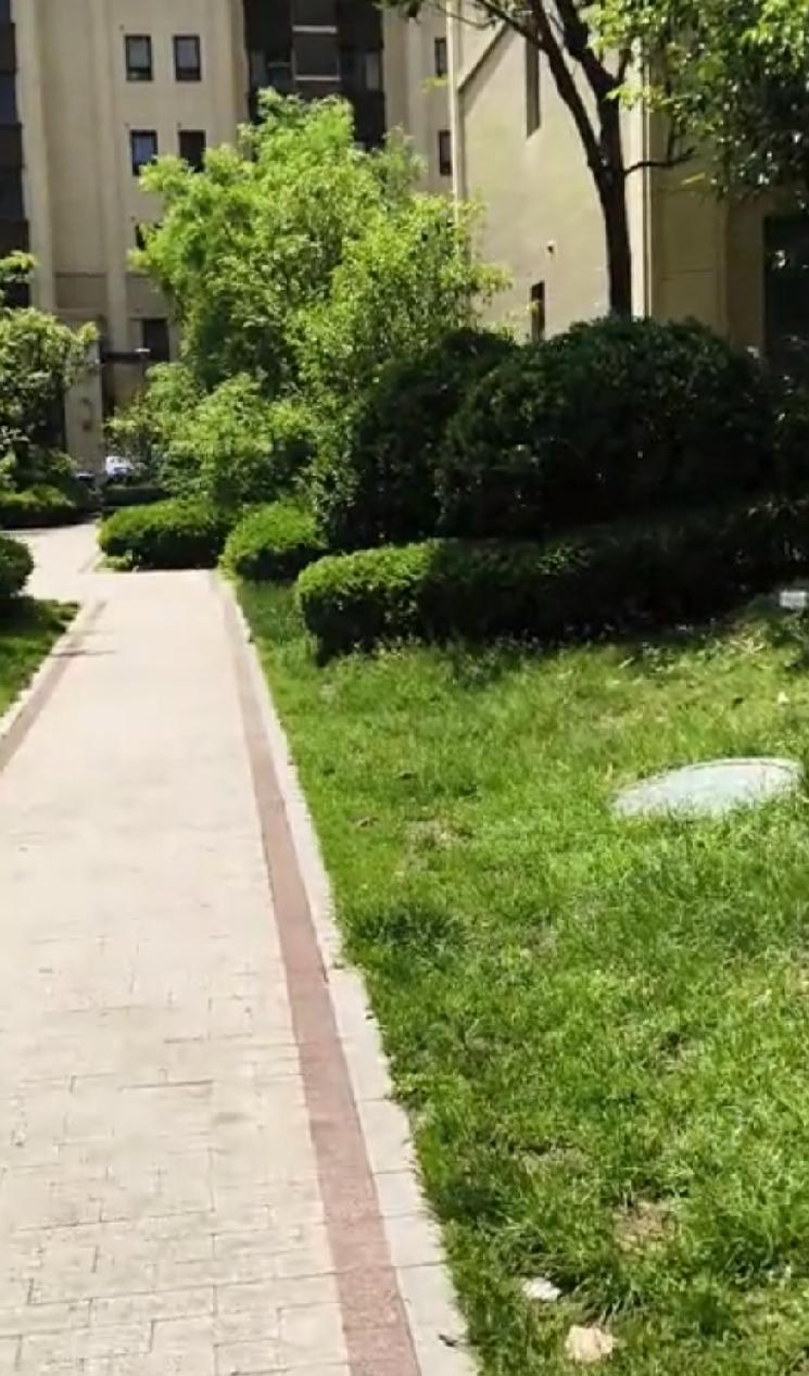 细思极恐啊！看到一“因嫉妒举报朋友考编的视频”。
      一名女子（自称是考