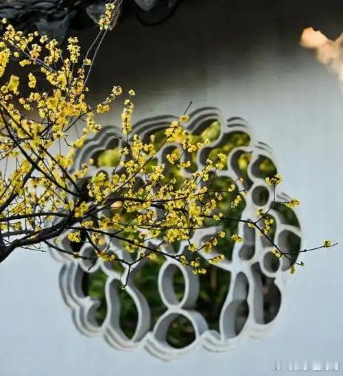 心里话         人生短暂，何必纠结？看开、想开、放开，方🉐自在。   