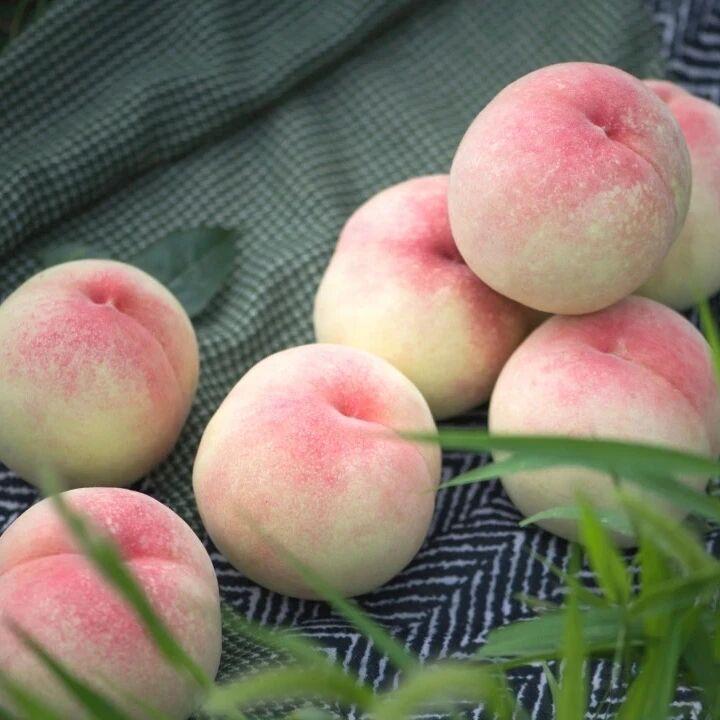 这样的桃子🍑，娇艳欲滴
看着太有食欲了
如果是纯天然的就好了
但是，现在的水果