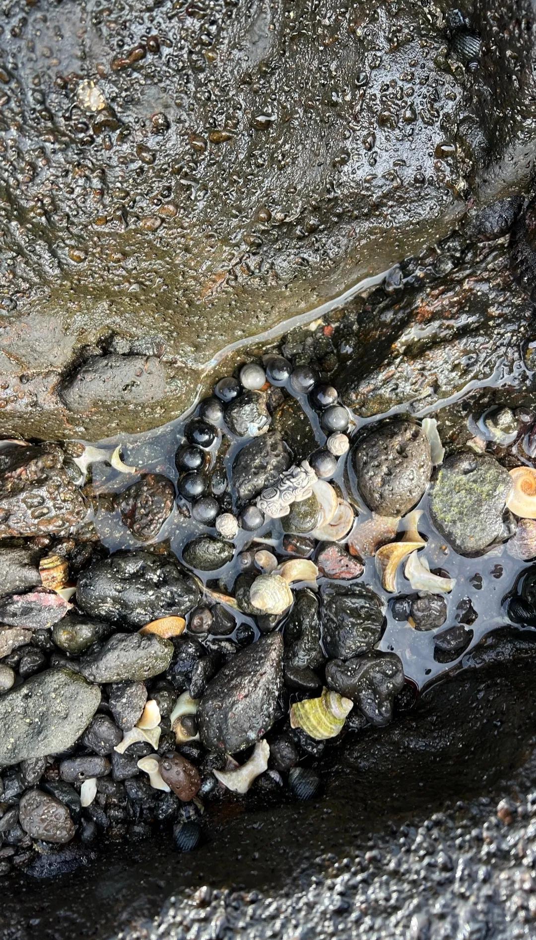 在海边游玩时捡到了一条手串！看起来挺精美，也不知道能值几个钱不？
