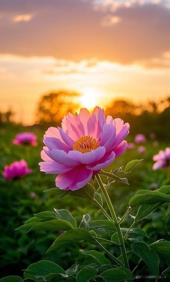 人老了，
这10个“靠山”不能少！
少一个，晚年都不稳

⛰️1、靠自己。
靠儿