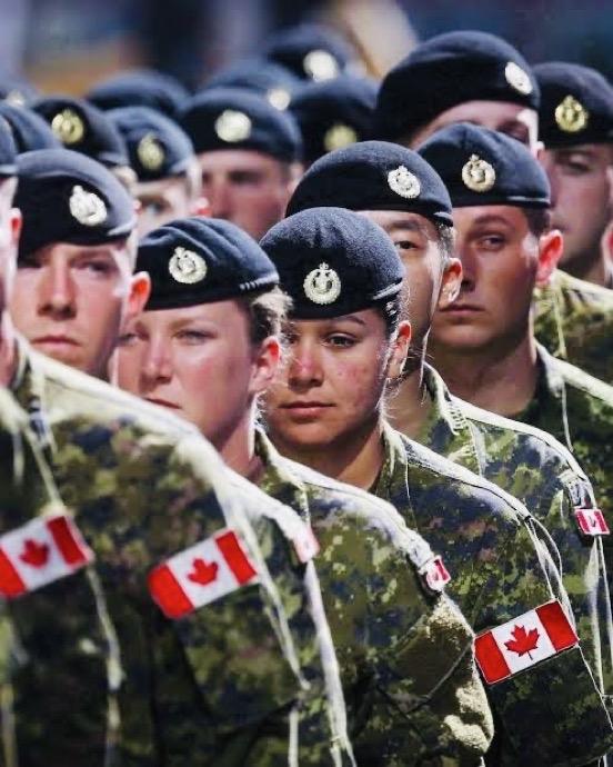 加拿大正在制定应对美国可能入侵的军事计划——加拿大广播公司
加拿大军方官员正在模