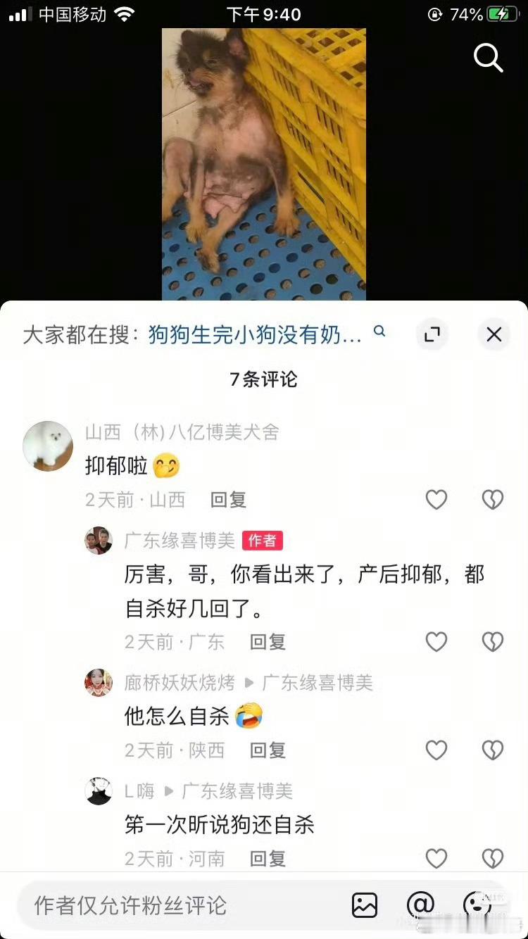 繁殖犬 抑郁什么时候才可以出台动物保护法啊？？？❓❓❗️好难过。虽然知道发了大概