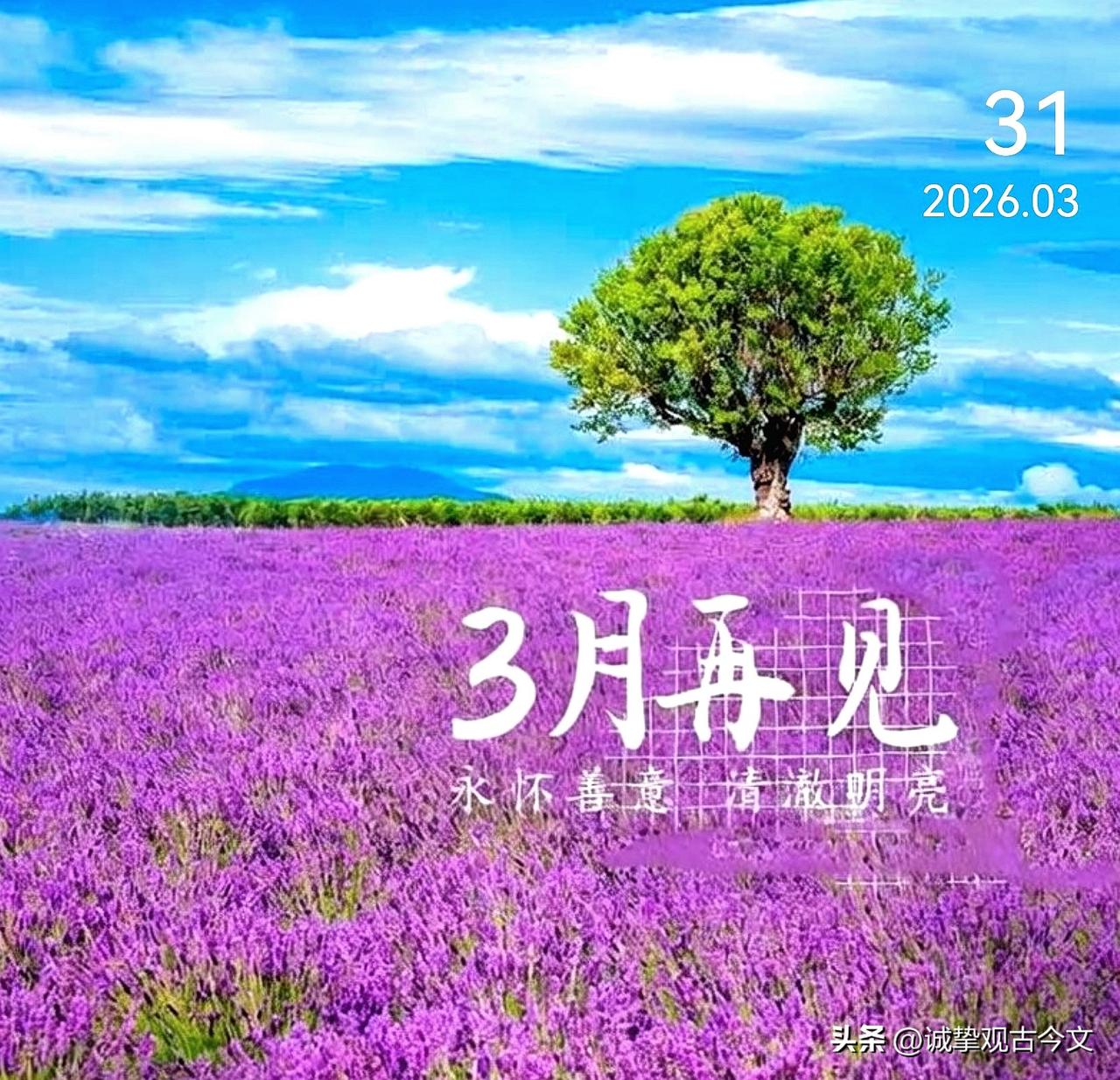 三月再见
三月落幕，
春意正浓，
把过往轻放，
让期许在四月里抽芽。