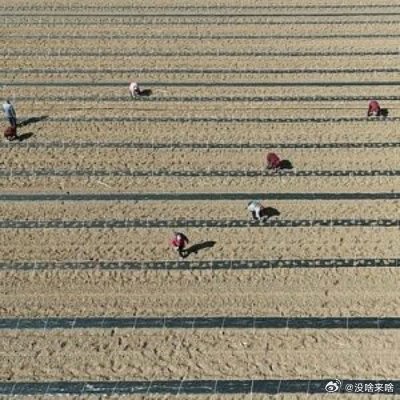 让农民滴兄弟 更放心了......视频丨再延长30年！这个重磅文件让亿万人吃上“