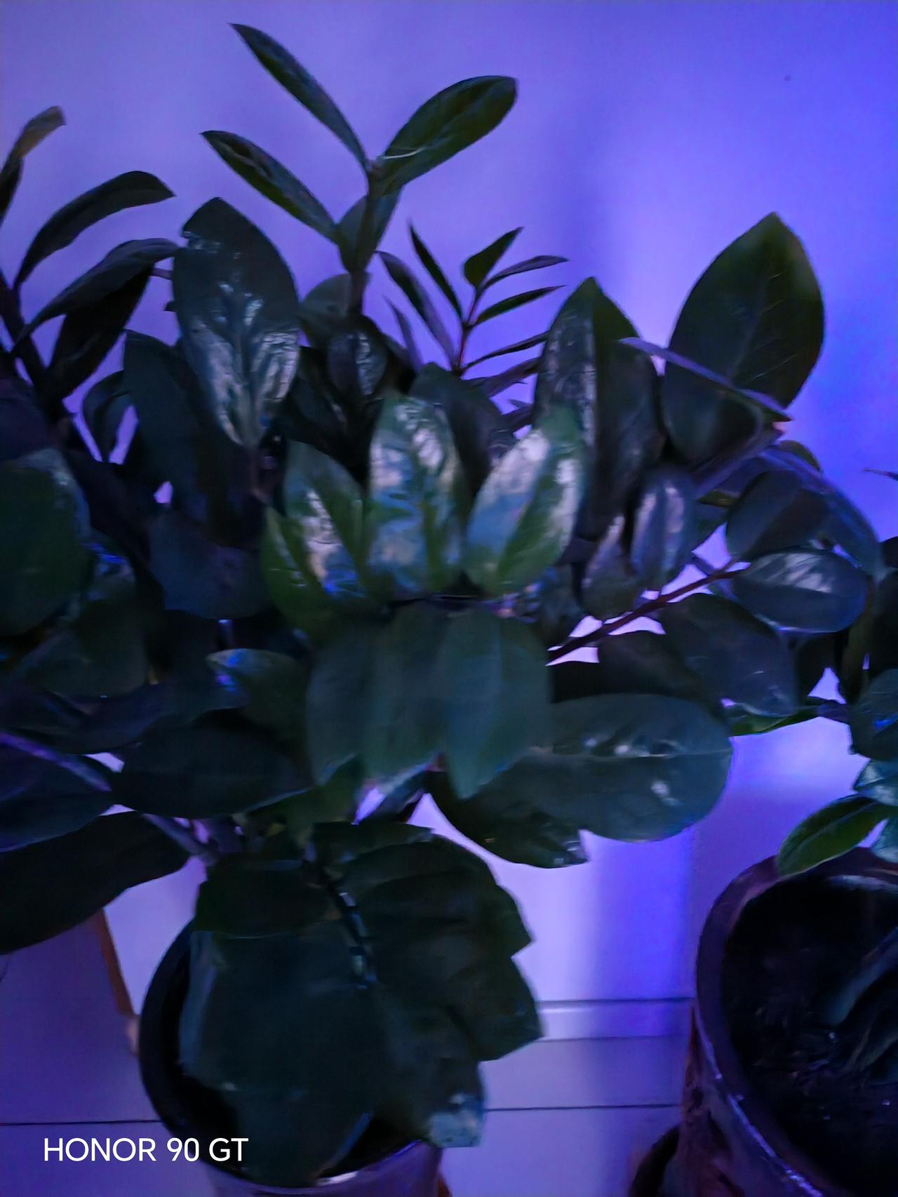 春天花会开，
快乐每一天。