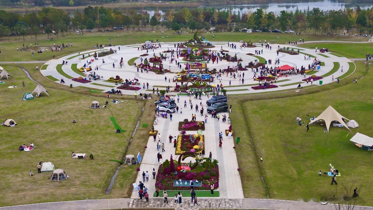 分享我这周有趣的事：武汉经开区2025年金秋菊展，地点位于武汉市经开区军山新城孔