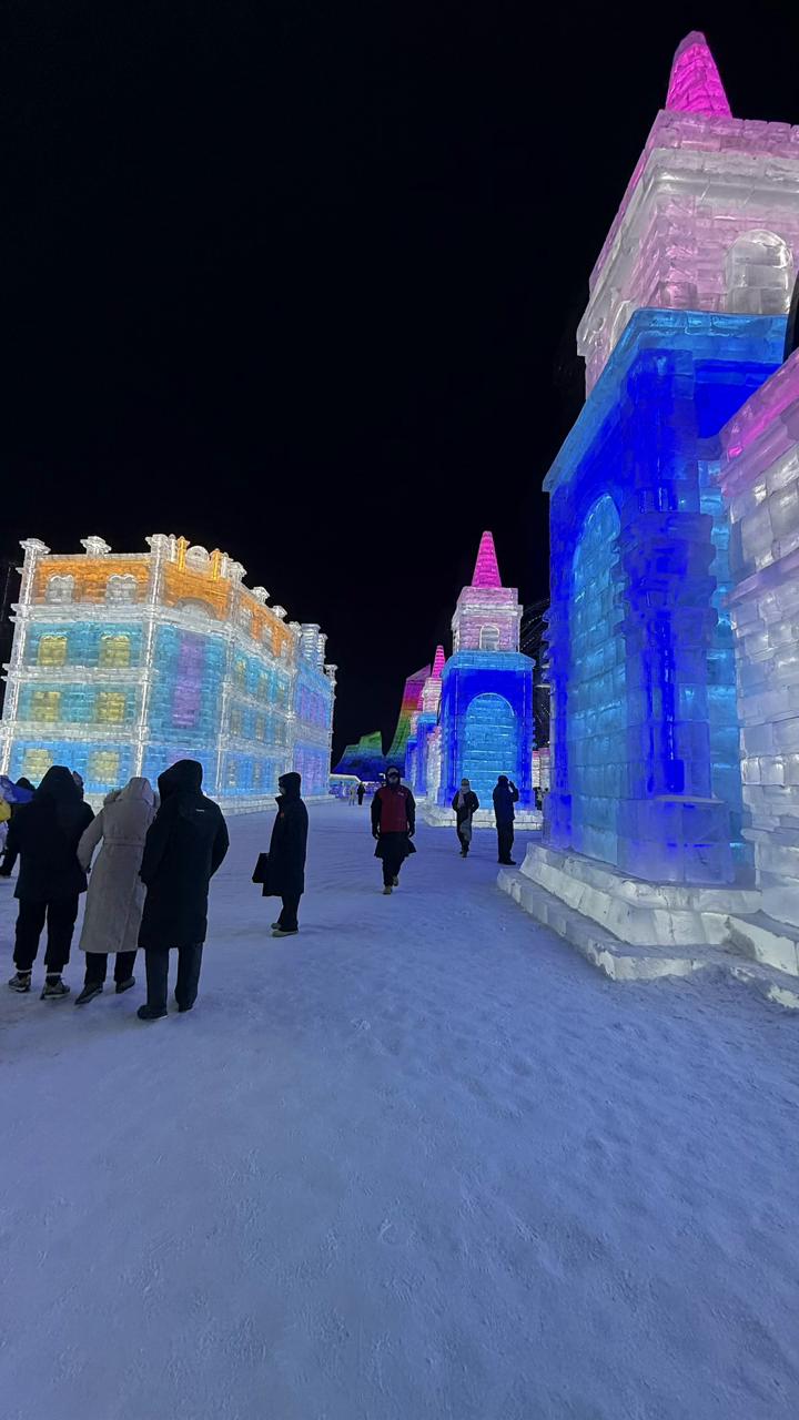 冰雪大世界之行。
我来到了冰雪大世界，多次哈尔滨之行，第一次来到冰雪大世界。哈尔