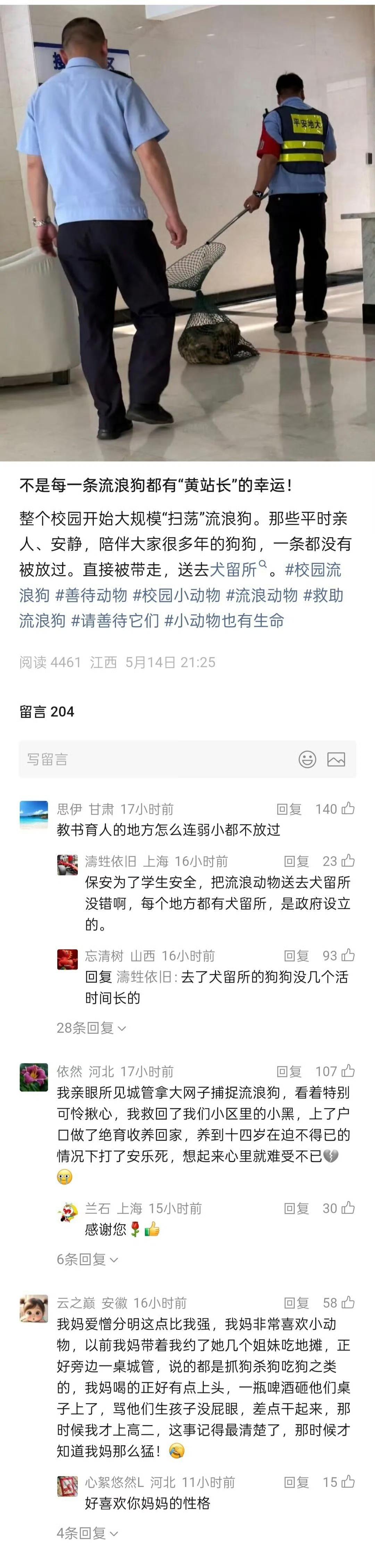 说过无数次，学校里的流浪狗，要么爱狗人士自觉收养，要么直接处理掉。

如果学校里
