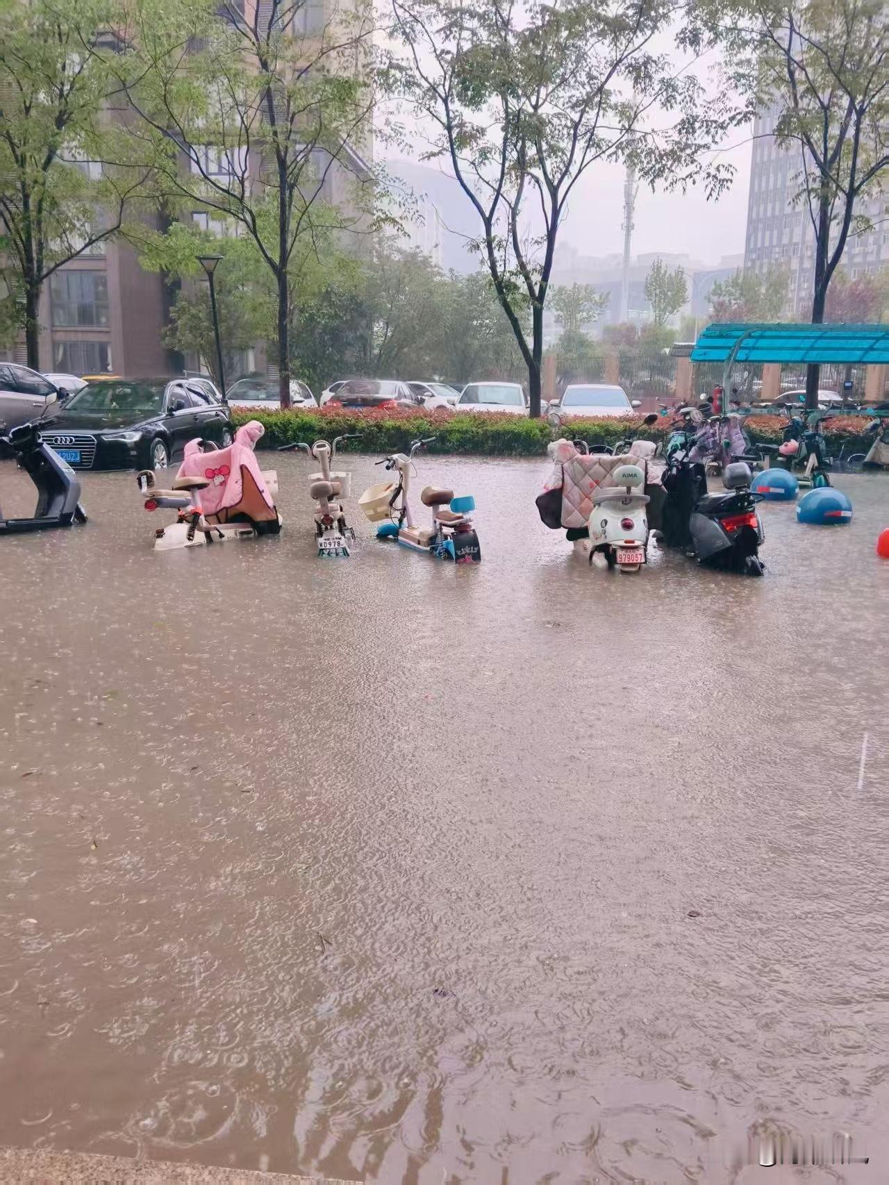武汉这雨，直接把小区淹成“鱼塘”了！[捂脸]

我的天，武汉这雨是疯了吧！一觉醒