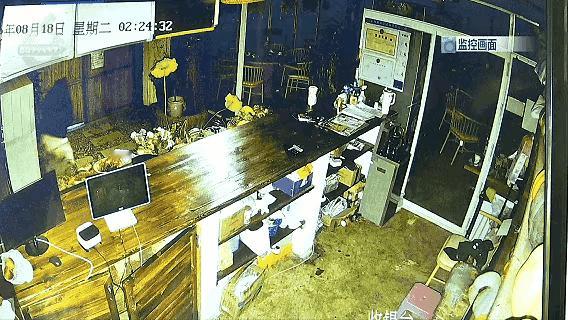 哭笑不得！小偷深夜偷野生菌，专挑剧毒见手青，昆明老板愁失眠：中毒了会不会来找我