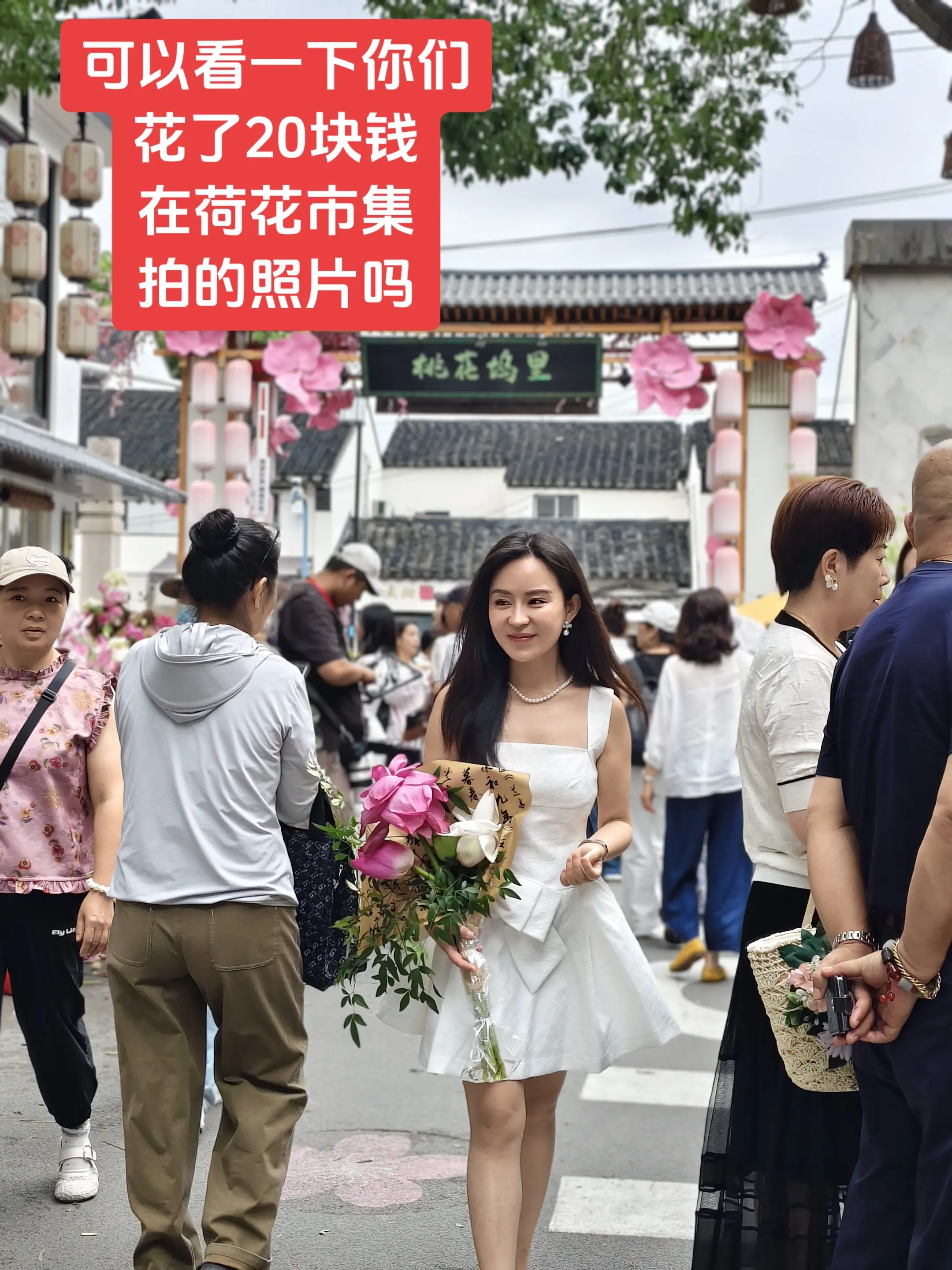看一下你们在荷花市集花了20块钱拍的照片