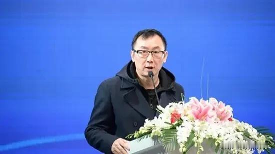 在这个关于电影观影制度的讨论中，有一个提议颇为引人注目：是否应该设立一个机制，允