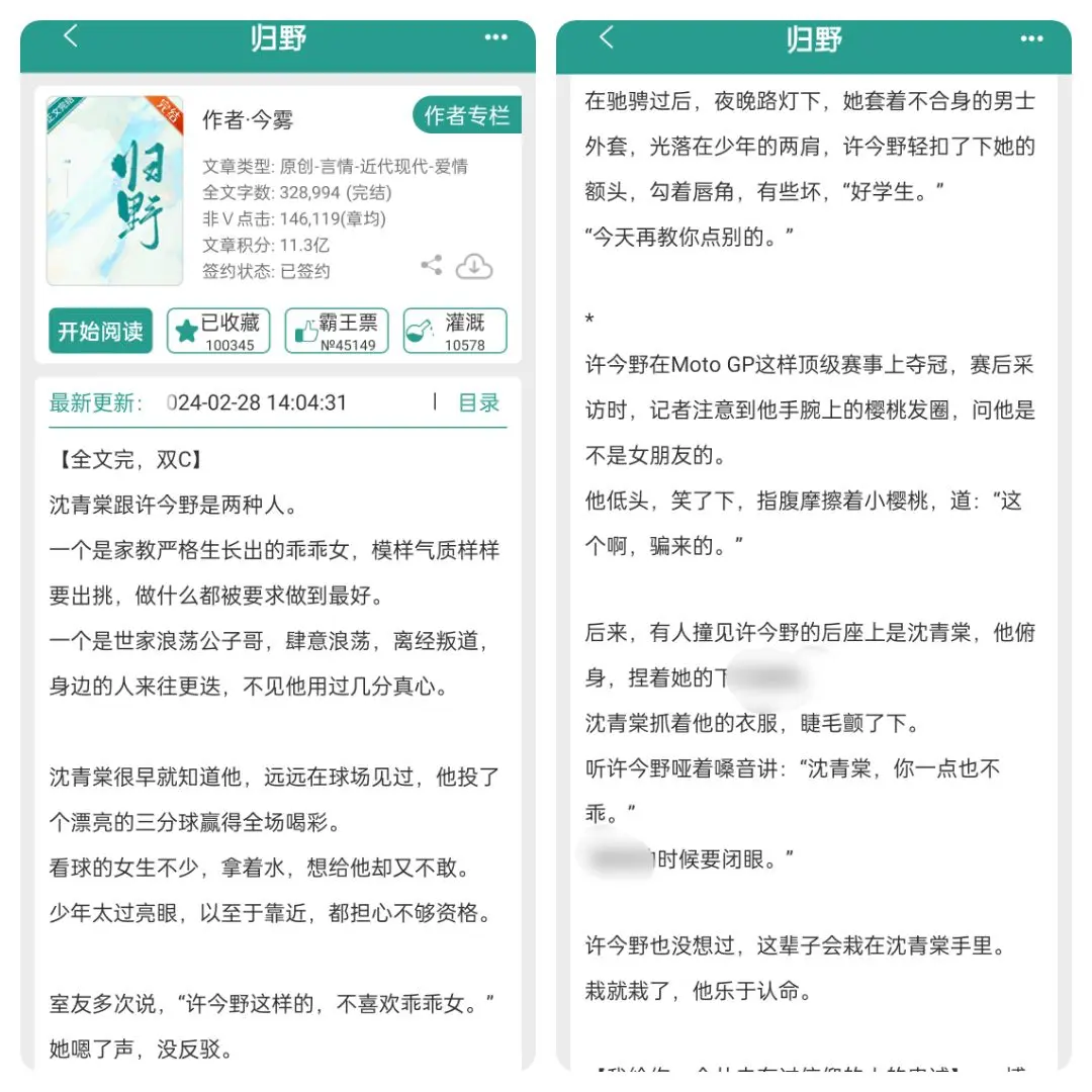 网文