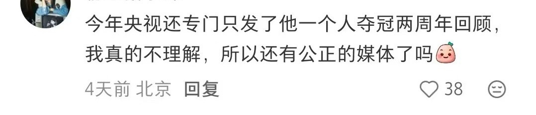 好吧 根歪苗黑的人不理解根正苗红的独一份待遇也很正常 对了不是央视啦 是所有官媒