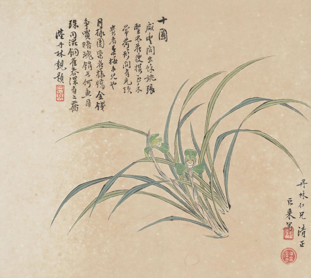 东方生活美学：中国传统文化中的兰花图。兰花在中国文化中承载着深厚的道德...