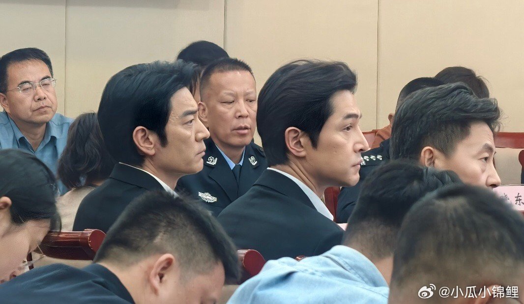 电视剧生命树研讨会 生命树天团来了最高规格最高评价 