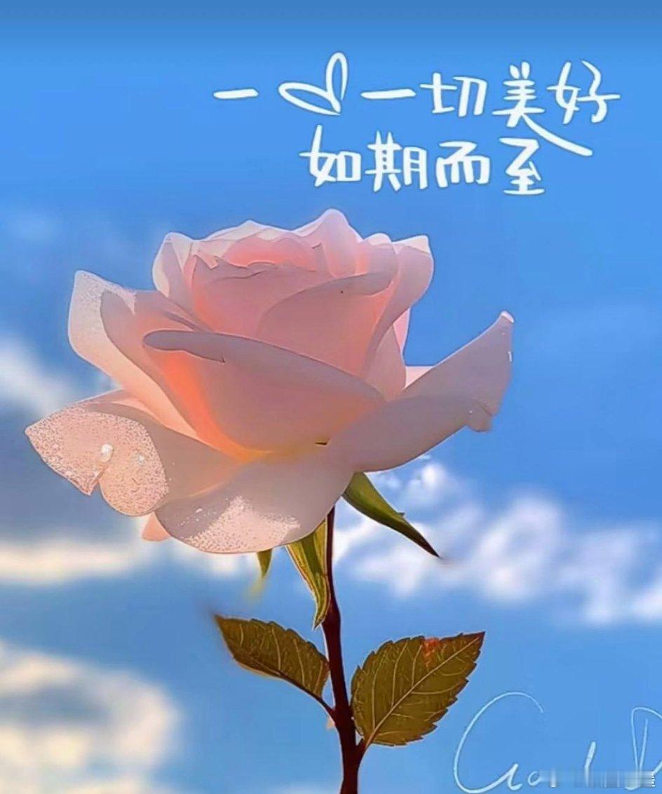 ᰔᩚ ²⁰²⁴/₀₄.₀₃💕𝓷𝓲𝓬𝓮 𝓭𝓪𝔂ᥫᩣ໌້早安！￼心之