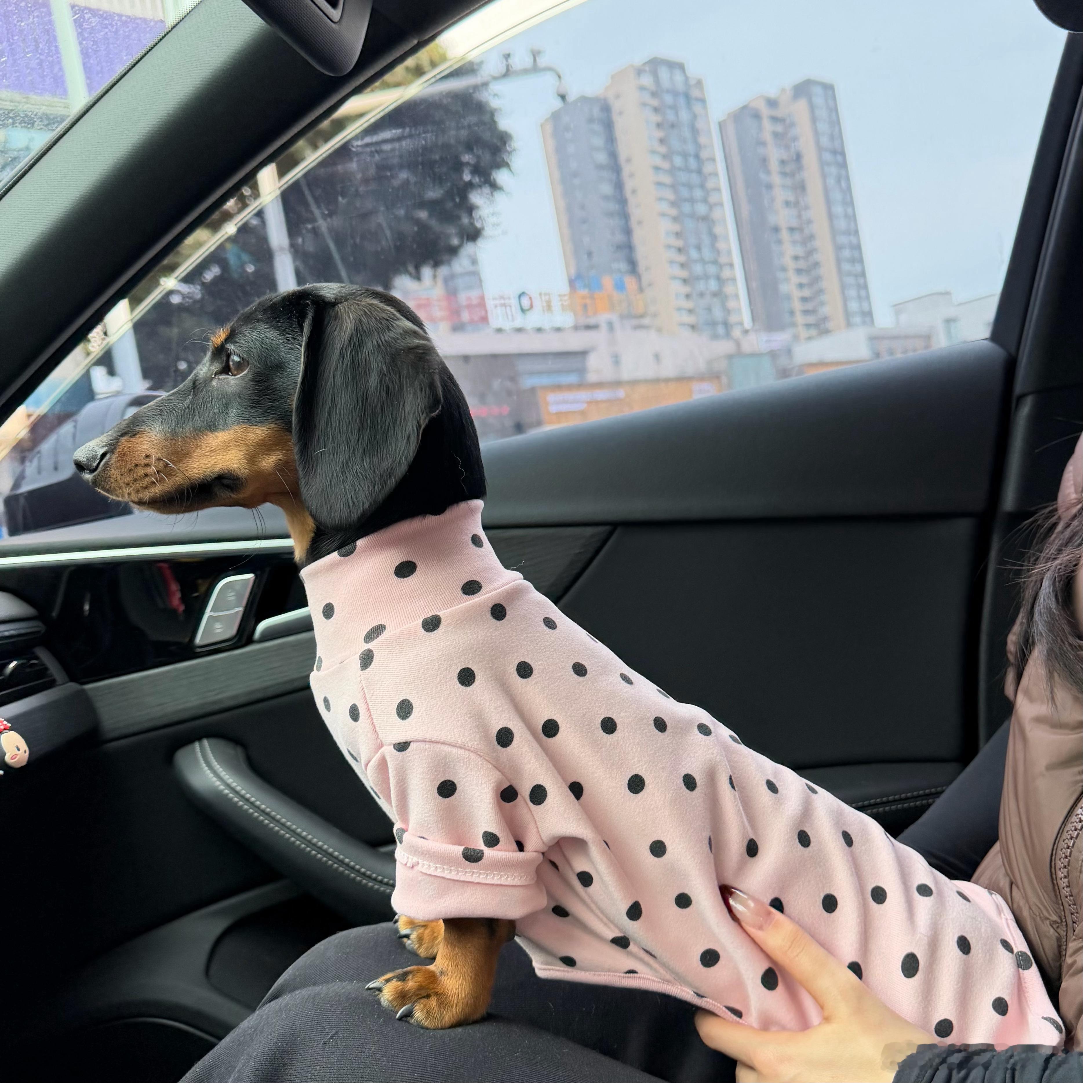 最近的欧欧特德～ 