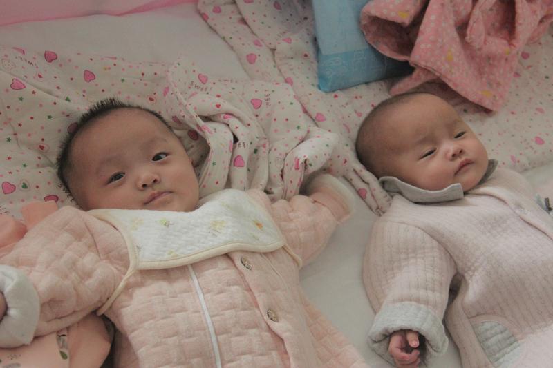 2月25日，“谢娜带双胞胎女儿上课”上热搜，一个八卦博主发了相关视频，还拍了孩子