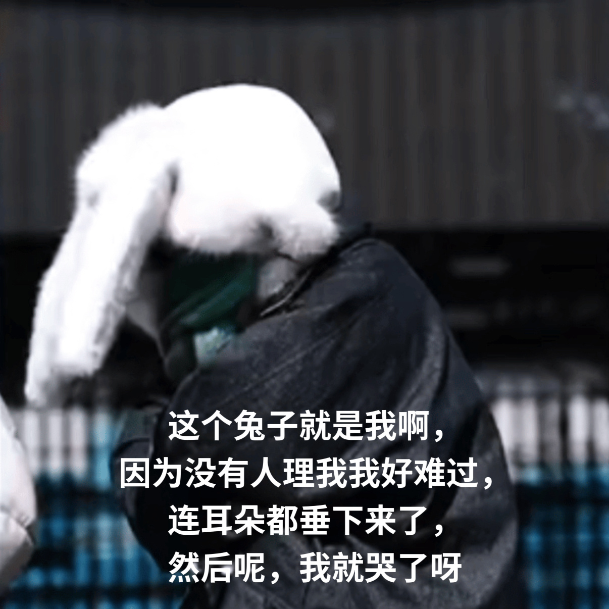 贺峻霖   ᕱ⑅ᕱ⸝⸝ʚ̴̶̷̆ ̯ʚ̴̶̷̆⸝⸝ 