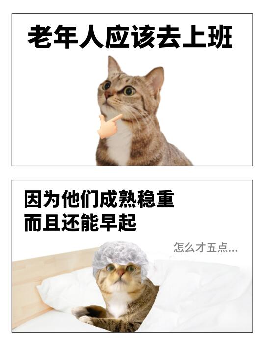 我是小猫，我同意不上班