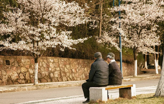 ᴿᵒᵐᵃⁿᶜᵉ ʳᵉᵍᵃʳᵈˡᵉˢˢ ᵒᶠ ᵃᵍᵉ .浪漫 不分年纪 ❤️ 