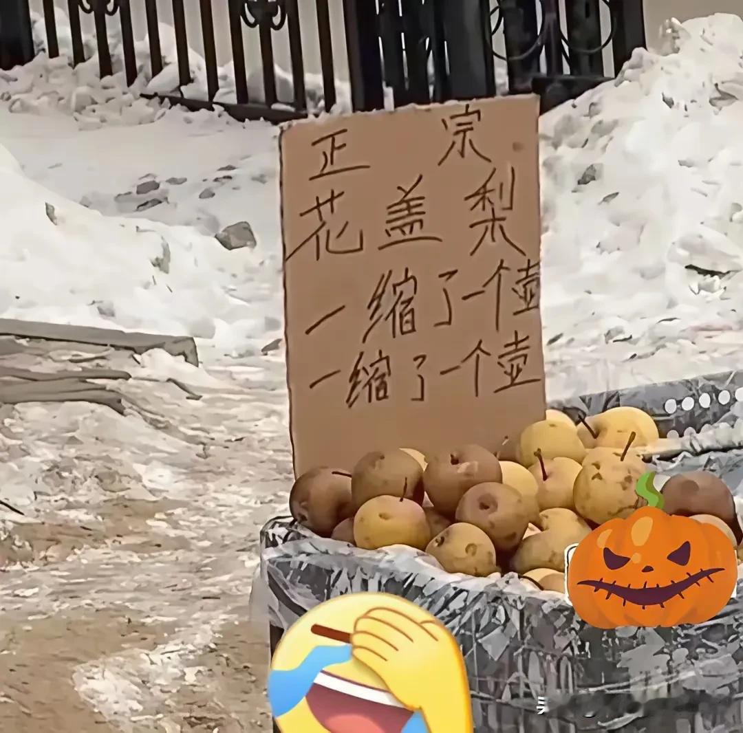 不服的来挑战吧！只有东北人才能读懂的，一种是水果，一种是蔬菜。