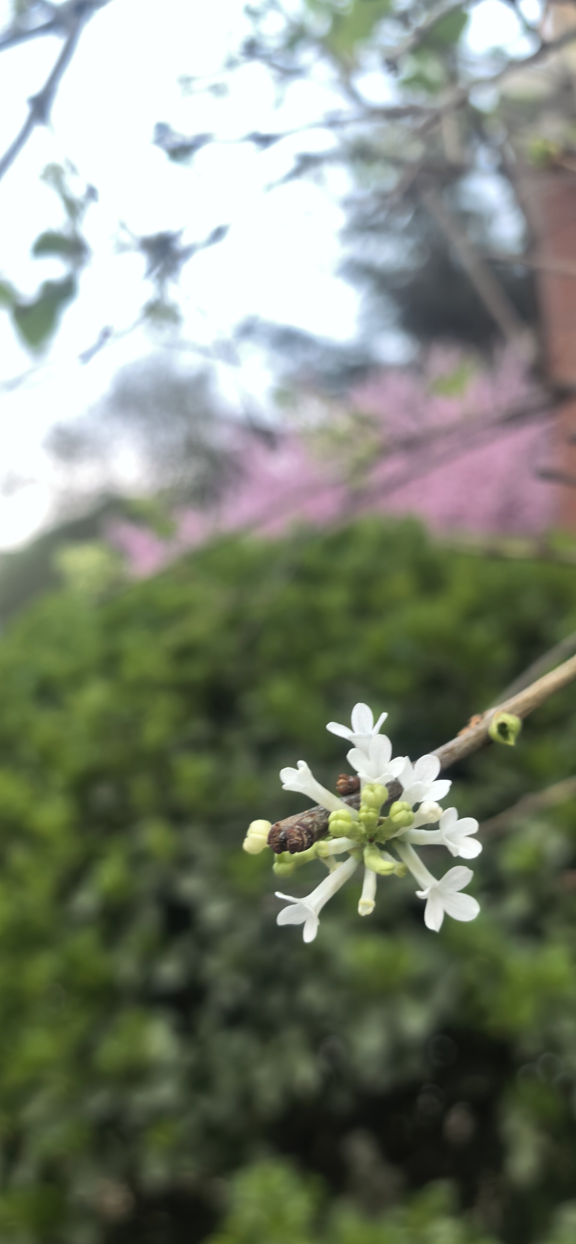风雨无阻！航天