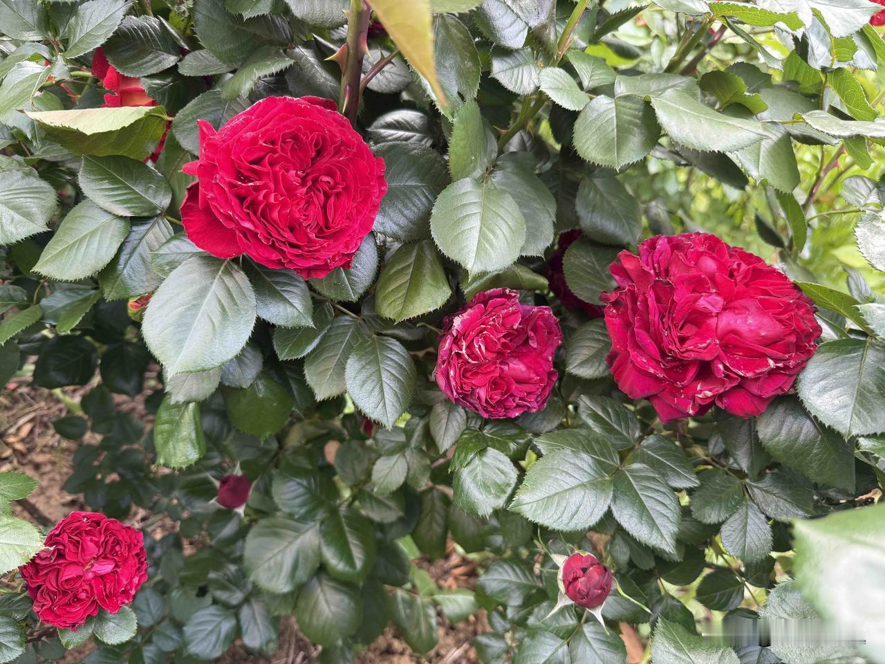 【小对联】
上：喜宴；
下：……？