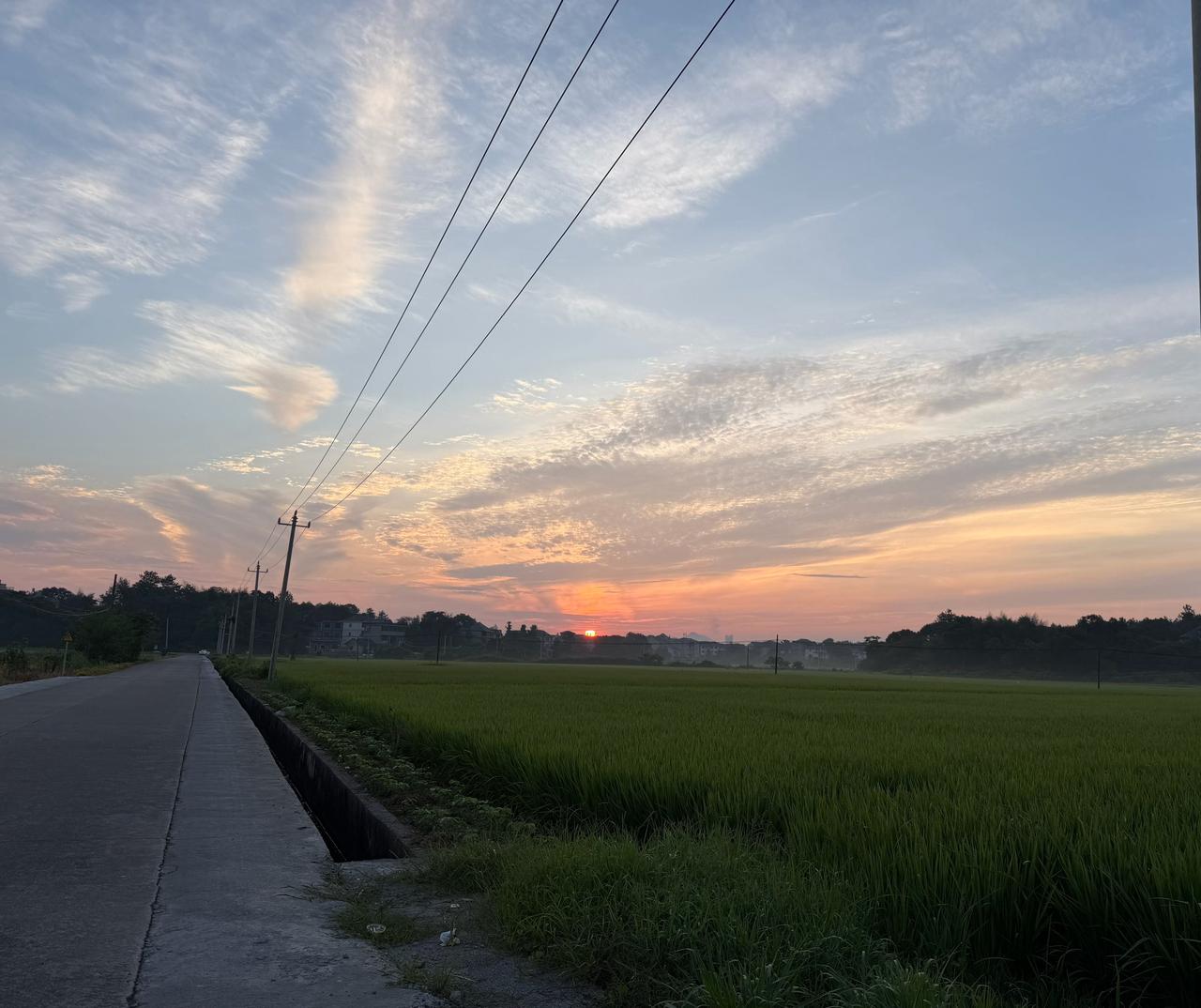 早晨五点半的太阳，我骑车在老家的乡间小路上。

 这次回老家，经历了一些事情，也