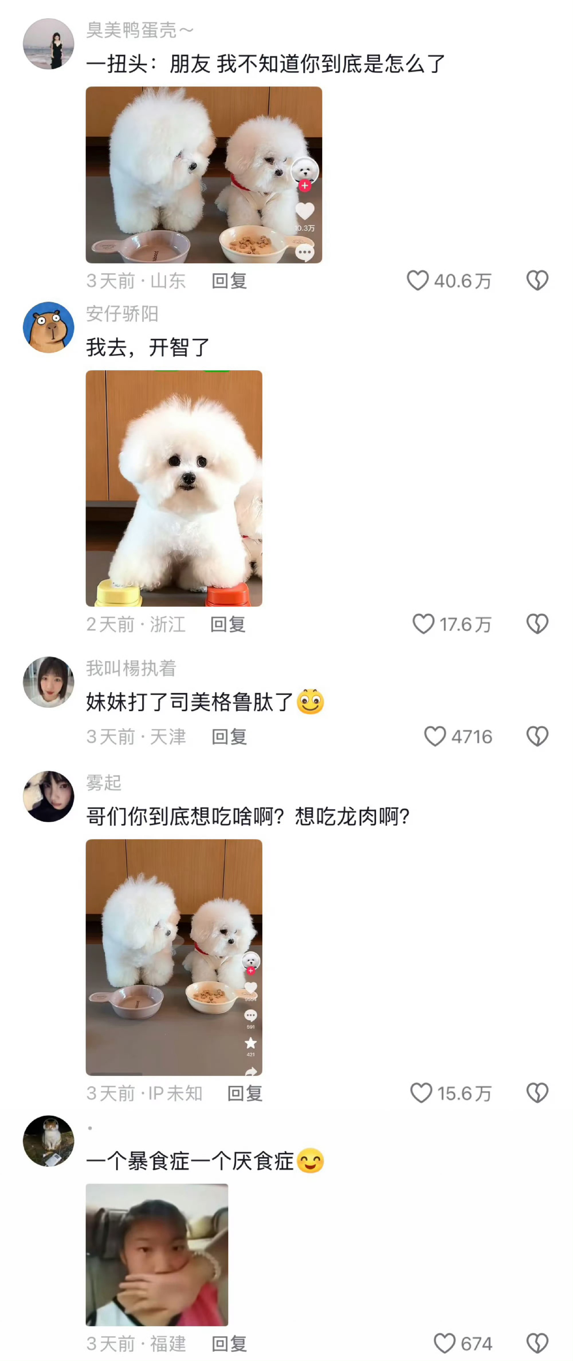 暴食小狗vs厌食小狗我家狗子就是左边那样的只要听到你开冰箱门  马上跑出来找你大