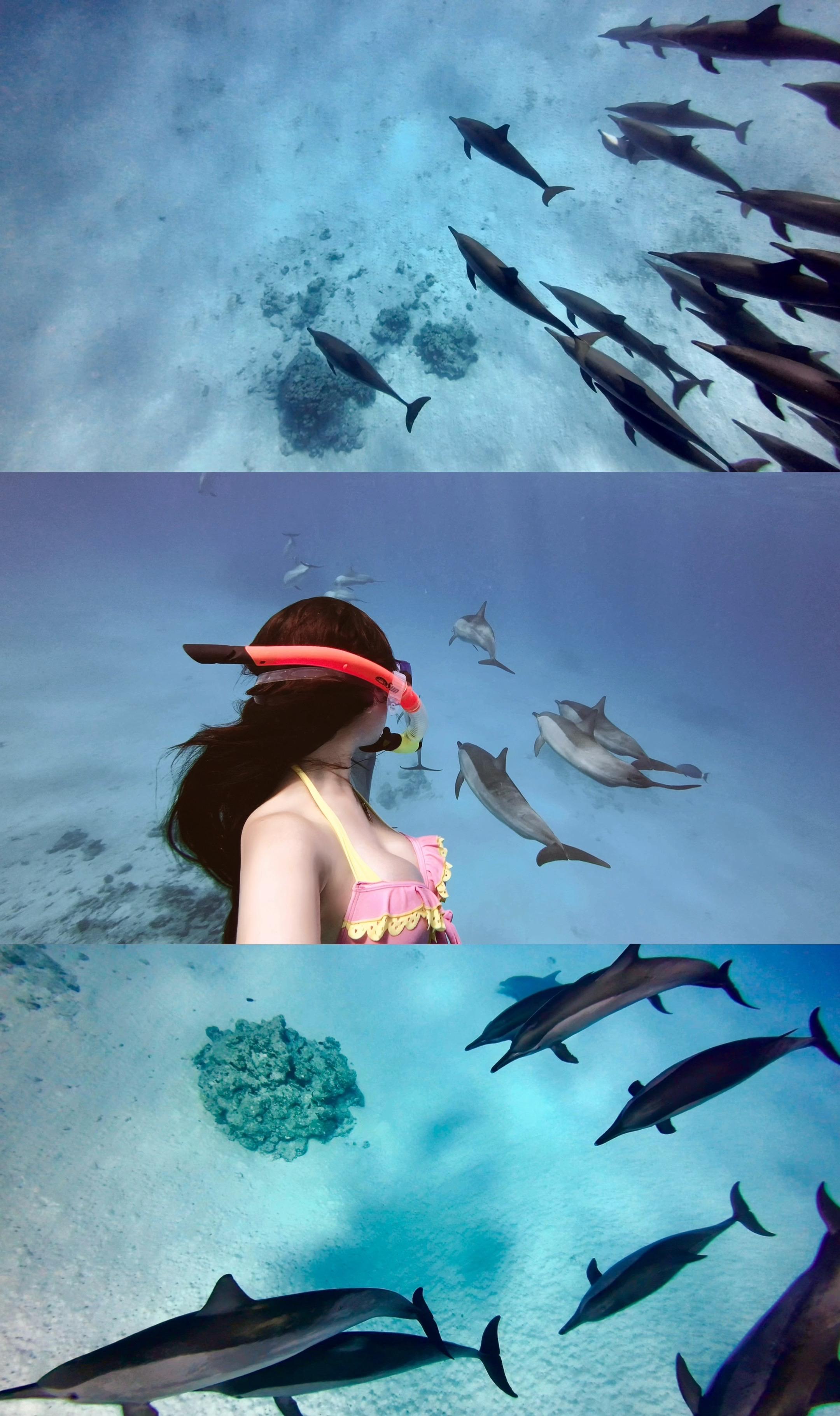 你应该出去看看 去看看这个世界