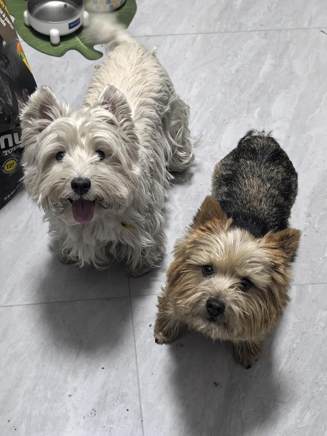 有比这更潦草的吗？