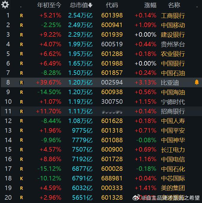 比亚迪A股市值已排第八。东大制造业之中流砥柱！ ​​​