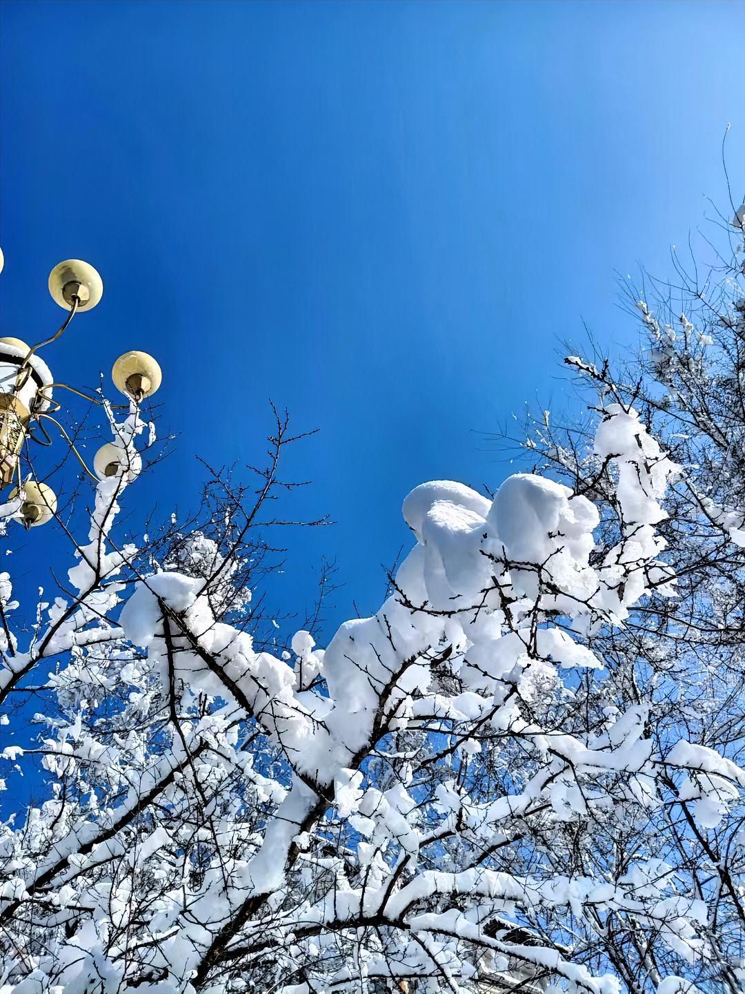 司马懿赢麻操，‮曹

了被他熬死
曹丕，被他熬死了。

连一生之敌诸葛亮，
还是