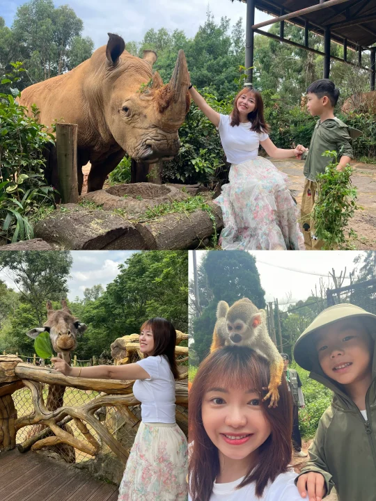 云南野生动物园，好玩但是费钱❗️附花钱攻略