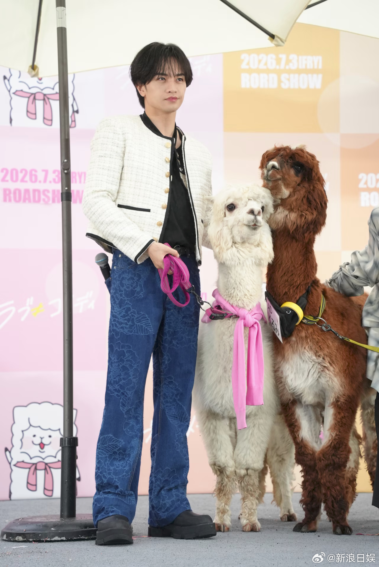 中岛健人長濱ねる出席了《Love≠Comedy》的线下活动。 
