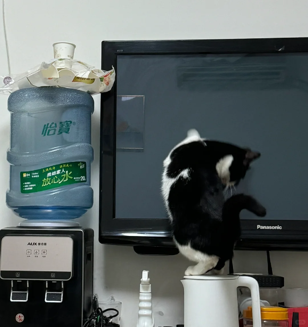 奶师傅你是做什么工作的