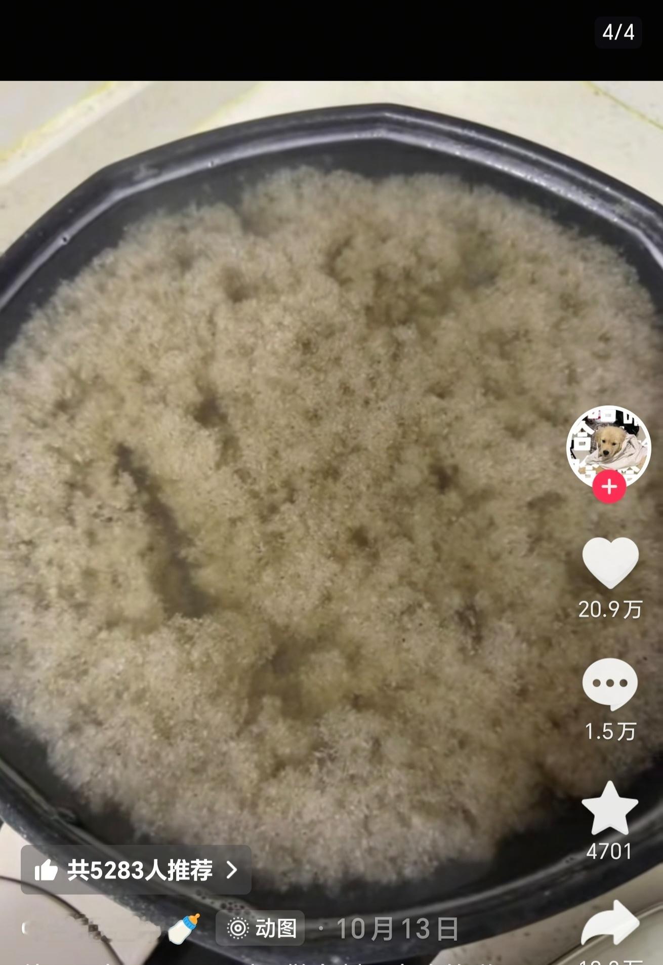 其实我看到第二张图的时候，还觉得作者给狗狗准备这么多种类的菌菇很用心，直到成品出