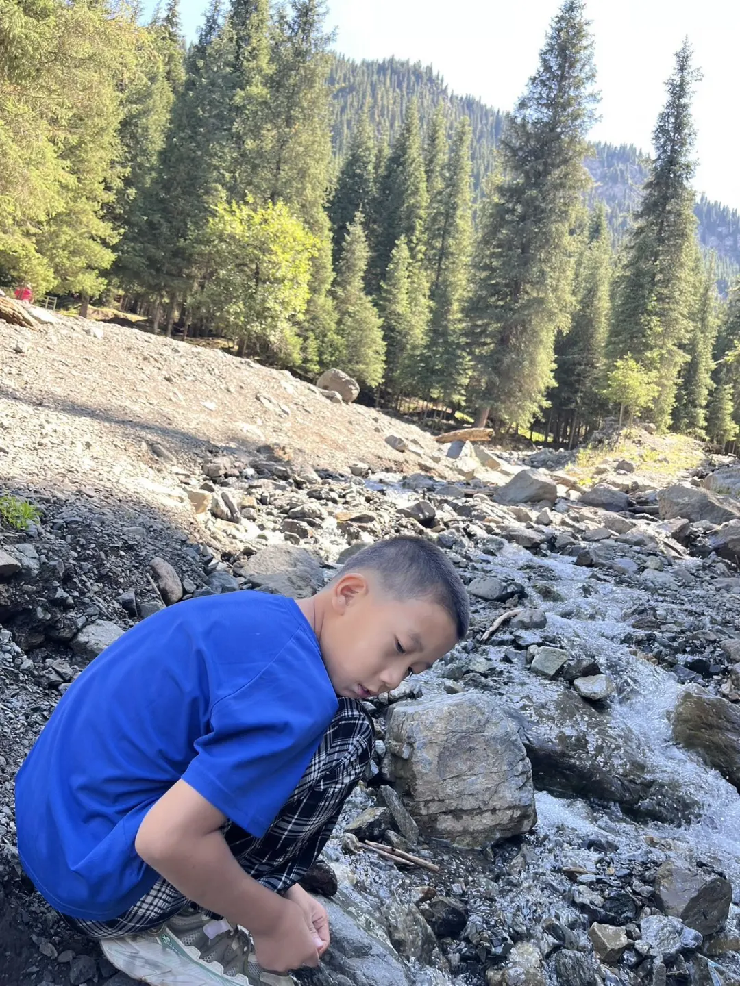 林间溪水治愈时刻