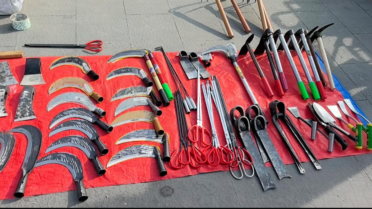 这又是什么？

在陇南武都，白龙江廊桥附近，我与李老师在那里闲逛的时候，看到了一